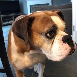 Meet your Posher, Julia